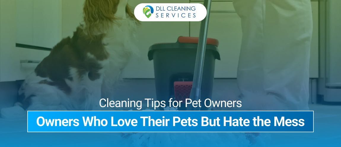 cleaning company new york
