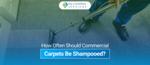 cleaning services in usa