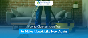 cleaning services in usa