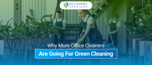 cleaning services in usa