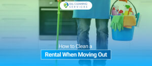 cleaning services in usa