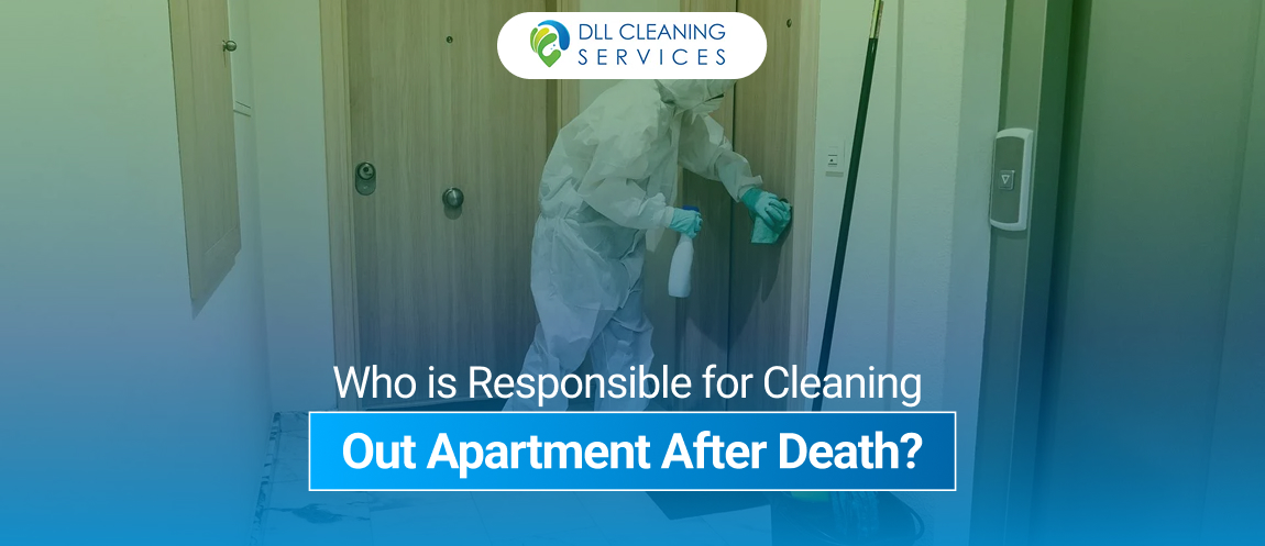 cleaning services in usa