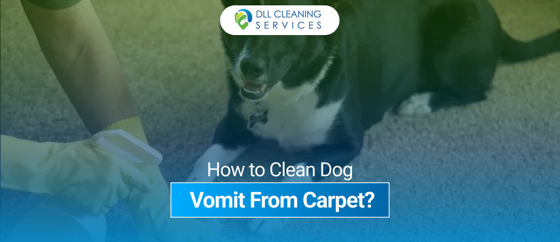 cleaning services in usa