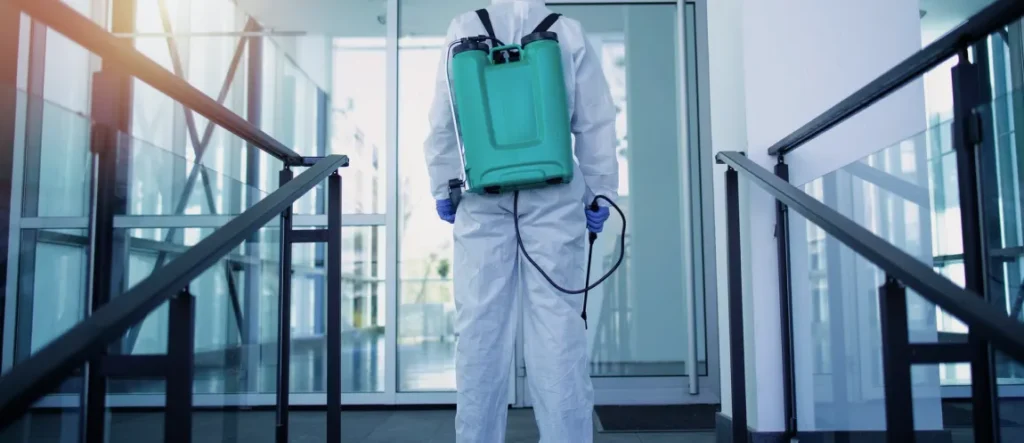 disinfection services